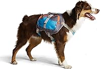 Cesar Millan Small Dog Backpack Harness - Exercise Saddlebag for High-Energy Dogs 20-40 lbs