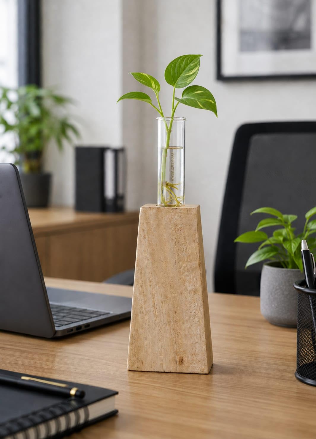 Star Furniture Wooden 1 Glass Test Tube Pyramid Home Decor Planter Modern Flower Vase with Wood Stand Plant Propagation Natural-image-40