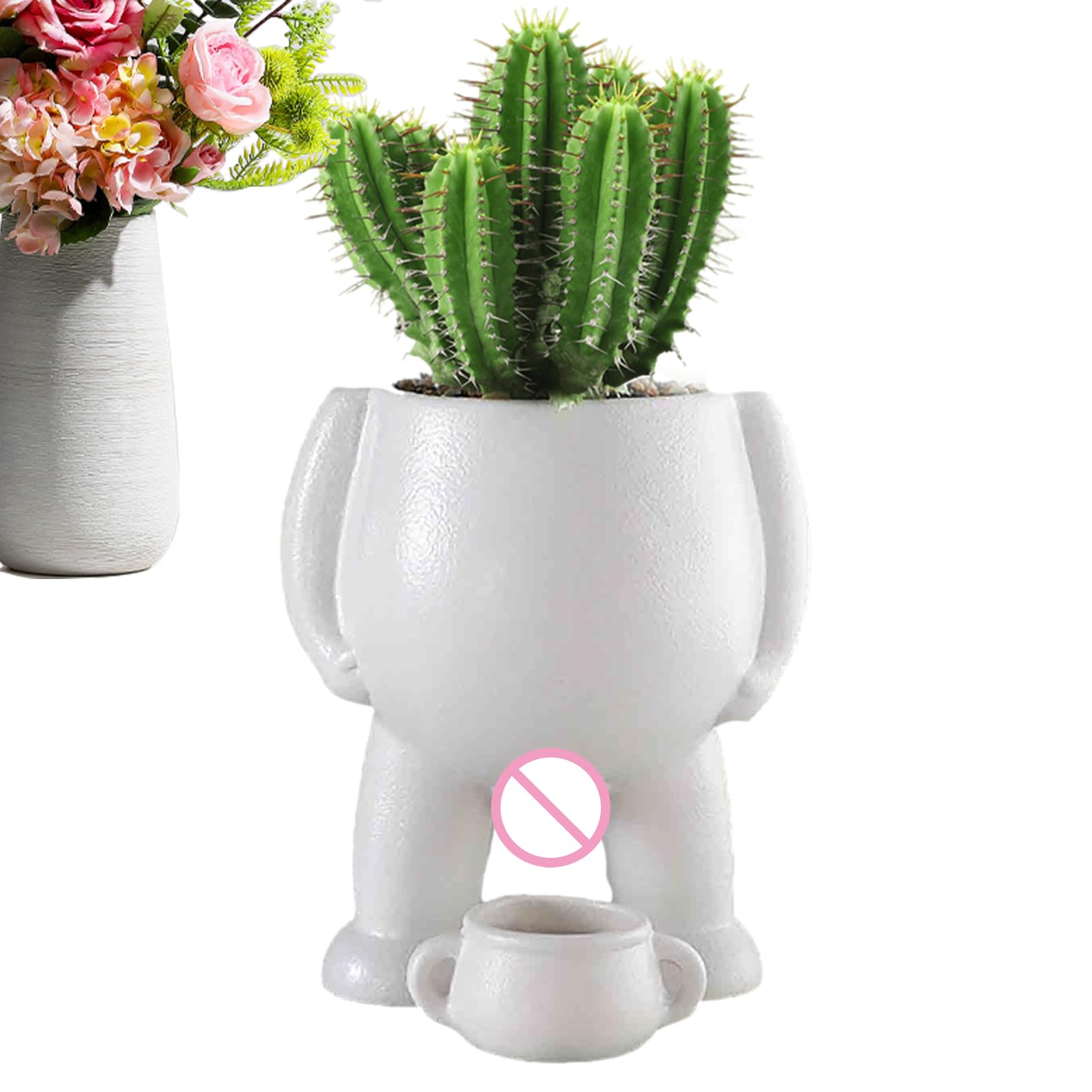 Vase humoristique pour succulente parfait sur un bureau ou une étagère