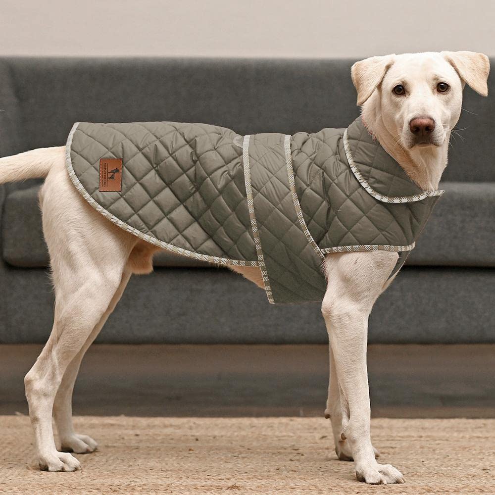 See full amazon price history chart for Heads Up For Tails Grrrberry Quilted Dog Jacket - Green - 2XL Heads Up For Tails Grrrberry Quilted Dog Jacket - Green - 2XL (B09NNFYC9B) Amazon Price History, Amazon Price Tracker