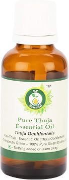Thuja Essential Oil | Thuja Occidentalis | Thuja Oil | Thuja Occidentalis Oil | Undiluted | for Skin | 100% Pure Natural | Steam Distilled | Therapeutic Grade | 15ml | 0.507oz by R V Essential