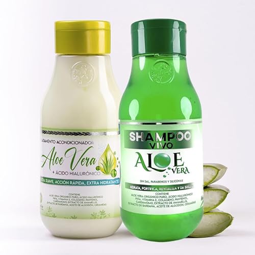 Champú Vivo con Aloe Vera + Tratamiento Acondicionador - Kit Perfecto con Aloe Vera Menta Cabello (Vegano) 18.6 fl oz cu Productos Capilares