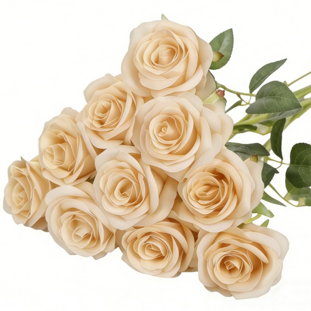 Yigeitopli 10 Pcs Silk Colour Artificial Roses with Stems, Faux Silk Flowers 19.7 Inches Long, Decorative Rose for Wedding Party Hotel Home Indoor Outdoor Table DIY Decor