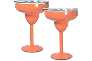 AGH 2 Pack Stainless Steel 10 Oz Margarita Tumbler with Lid, Double...