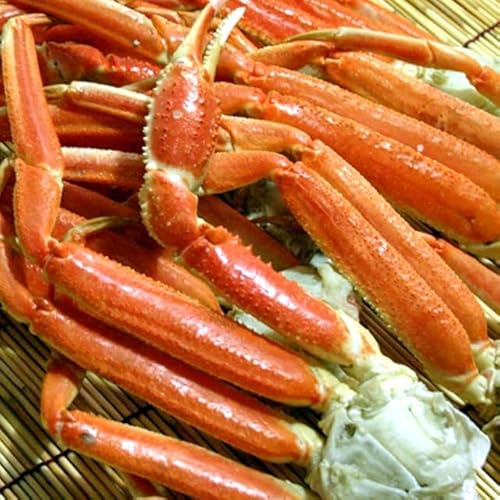 {YCKj 󂠂 {C  3kg l