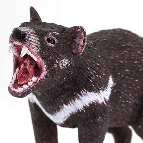 Miniatura 5 de Safari Ltd. Tasmanian Devil Figurine - Figura marsupial realista de 3.5 pulgadas, juguete educativo para niños, niñas y niños a partir de 3 años