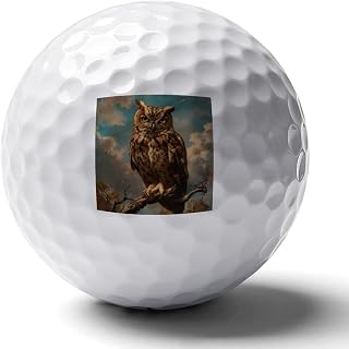 Vintage Owl Perched on Branch Personalization Golf Balls Long Distance Peak Performance Golf Ball