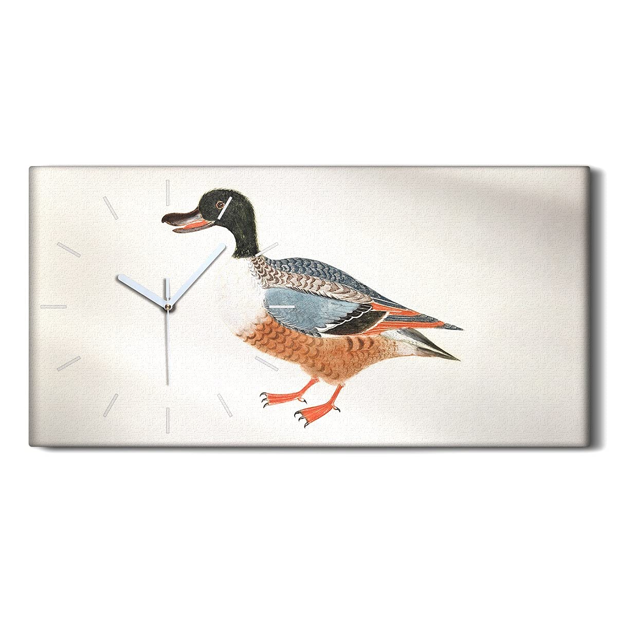 Horloge sur Toile Salon Moderne Canard 60x30cm - Déco Murale pour Chambre