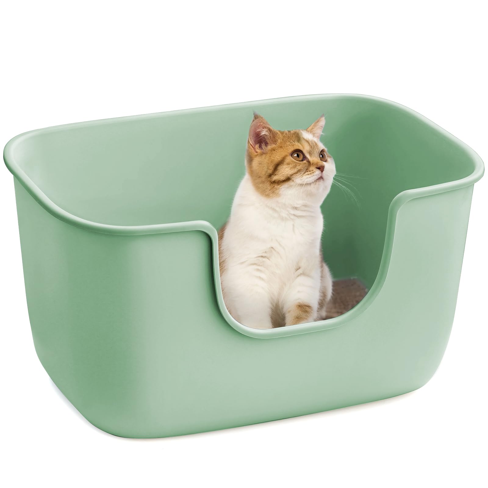 巨大猫トイレ Amazon | 猫 トイレ 大型 猫用トイレ 本体 大型猫トイレ オープン