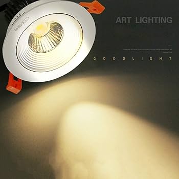 Amazon.co.jp : ダウンライト 天井照明 LEDダウンライト埋め込み