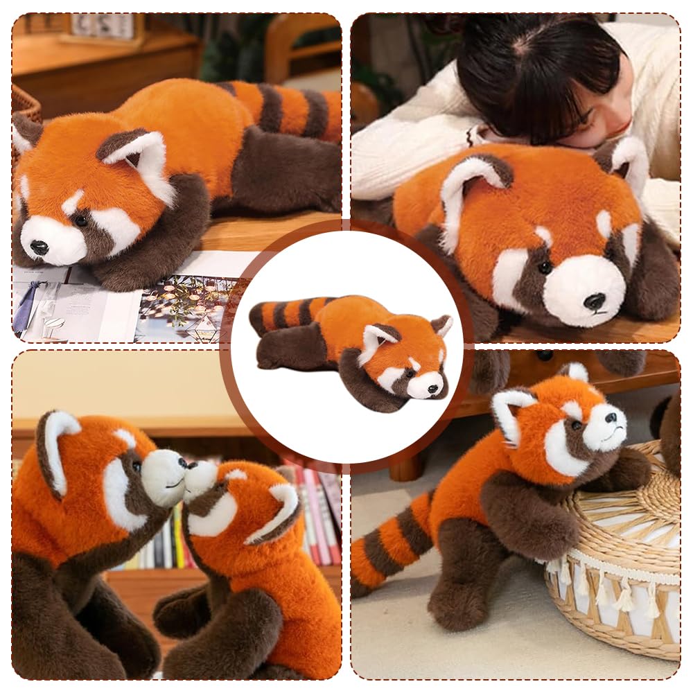 Czerwona panda pluszowa zabawka, 30 cm, pluszowa zabawka, czerwona panda, czerwona panda, pluszowa zabawka, szop, RedPanda, pluszowe zwierzątko, prezent dla dziewcząt i chłopców