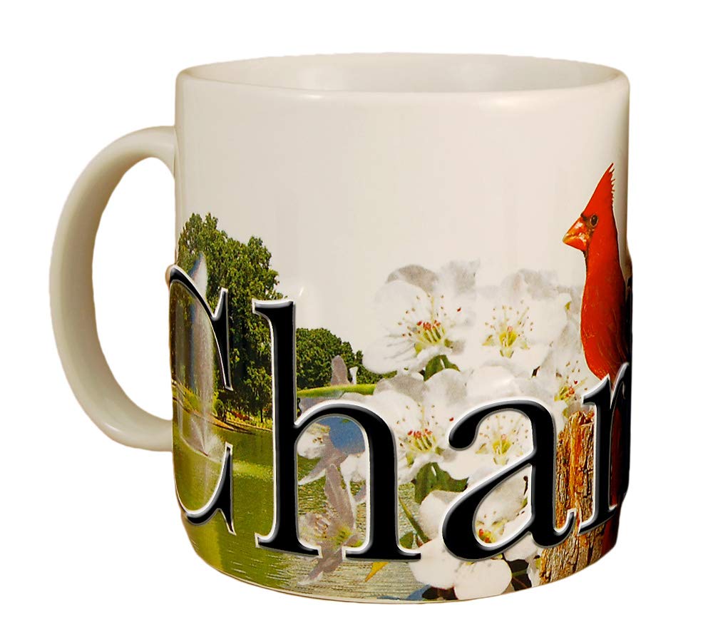 Americaware SMCHR01 Charlotte 18 oz Full Color Relief Mug