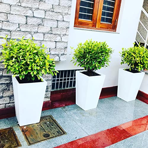 S E Fibereum Standard White Colour Frp Flower Pot 24 X 14 Inches. Home Decoration Flower Pot, Outdoor And Indoor, Balcony Gardening, Pots With Optional Drainage Hole (Free Pebbles) Super