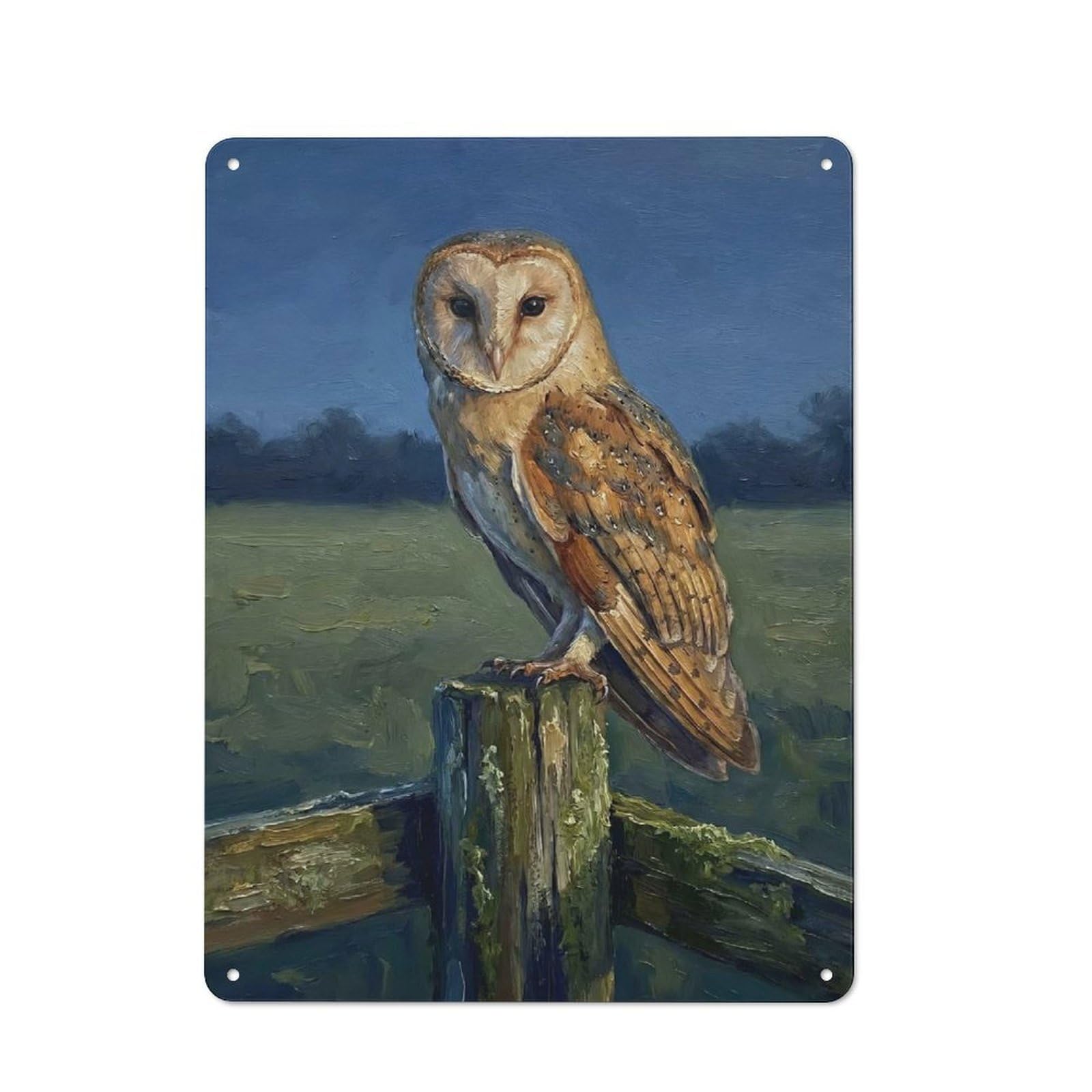 Junmoney Style-3 Vintage Tin Sign With Barn Owl Perched On A Post Design 40X30cm, Vintage Cafe Wall Decor For Coffee Bar, Kitchen, Bistro Or Tea Corner