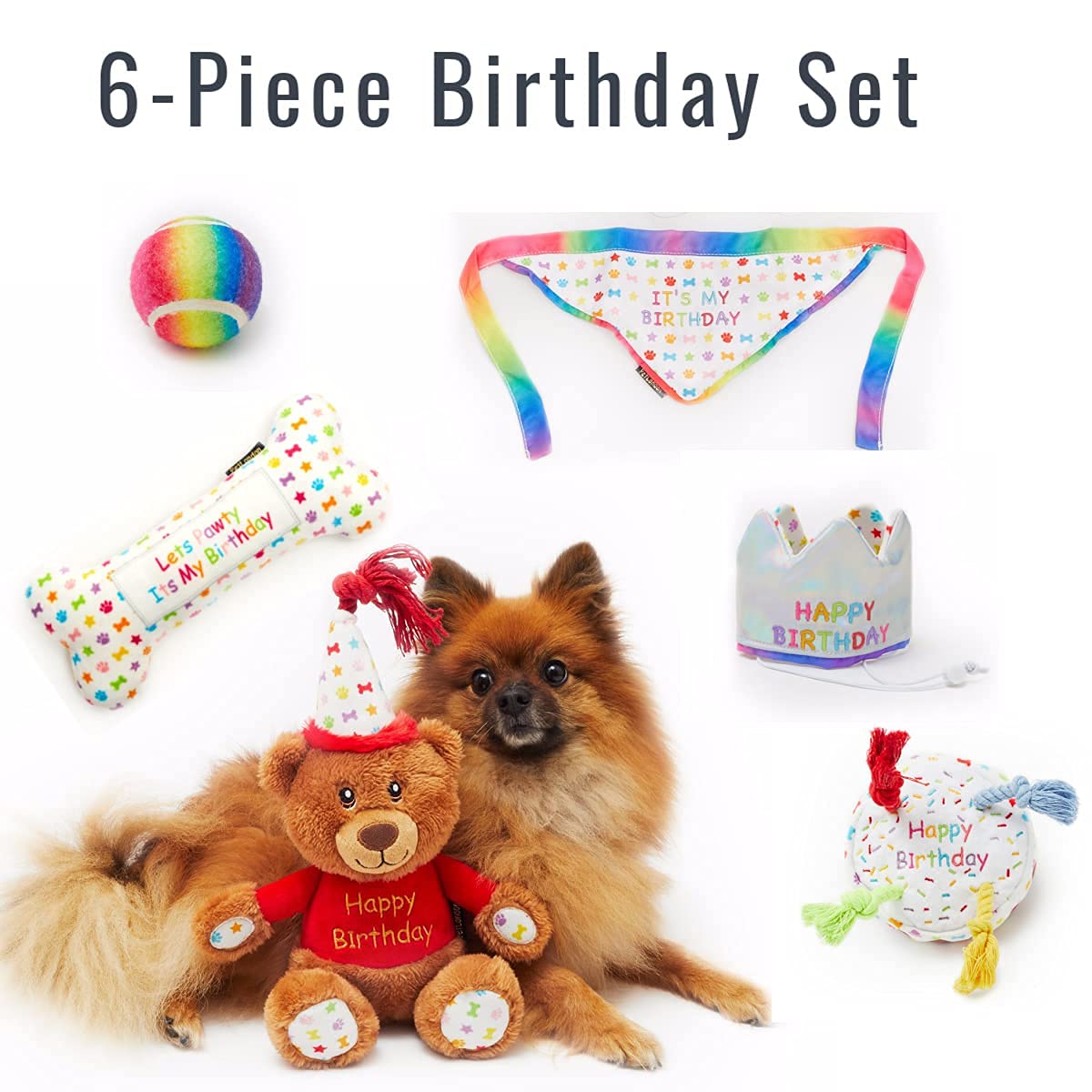 Coffret cadeau d'anniversaire pour chien 6 pièces avec jouets, chapeau et bandana Taille S