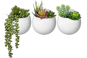 Artificial Plant Wall Decor: Mkono's Faux Succulents in Modern Ceramic Vases