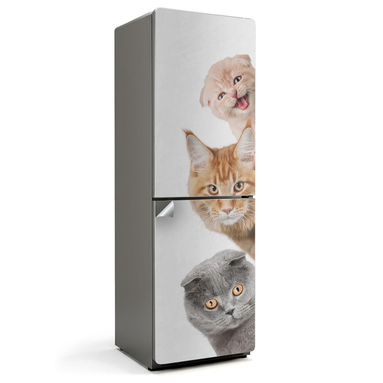 Stickers pour réfrigérateur chaton dans la cuisine - Décoration murale et frigo conviviale