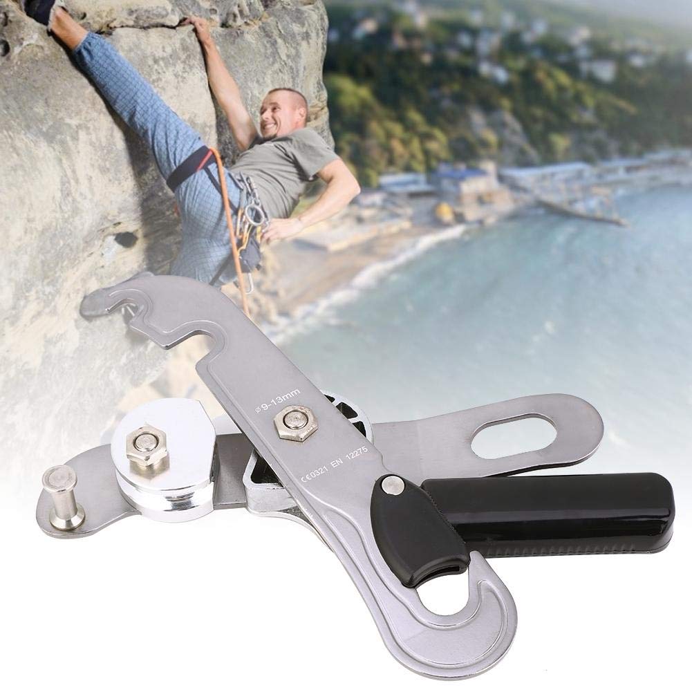 Keenso Dispositivo de Descenso descendente EN 12275, Dispositivo de Control Manual antipánico para Exteriores para Escalada en Roca Protección Auxiliar anticaída descendente