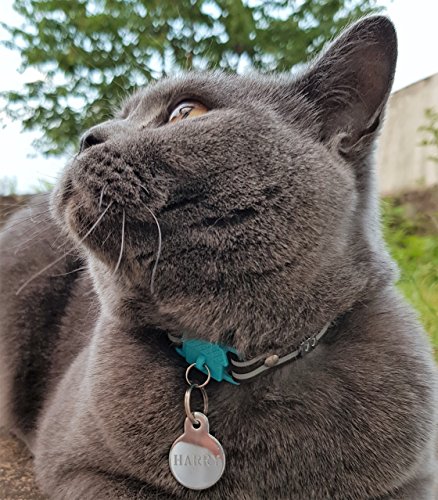 Image of Kittyrama Havana Cat Collar. Award Winning. As Seen in British Vogue. Other Styles and Colors Available. for Adult Cats
