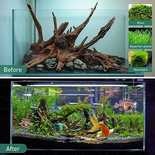 Image of WDEFUN Natural Driftwood for Aquarium Decor, 5-Piece 5''-8'' Large Driftwood for Decorations on Fish Tank, Reptiles Bearded Dragon Accessories or Air Plants
