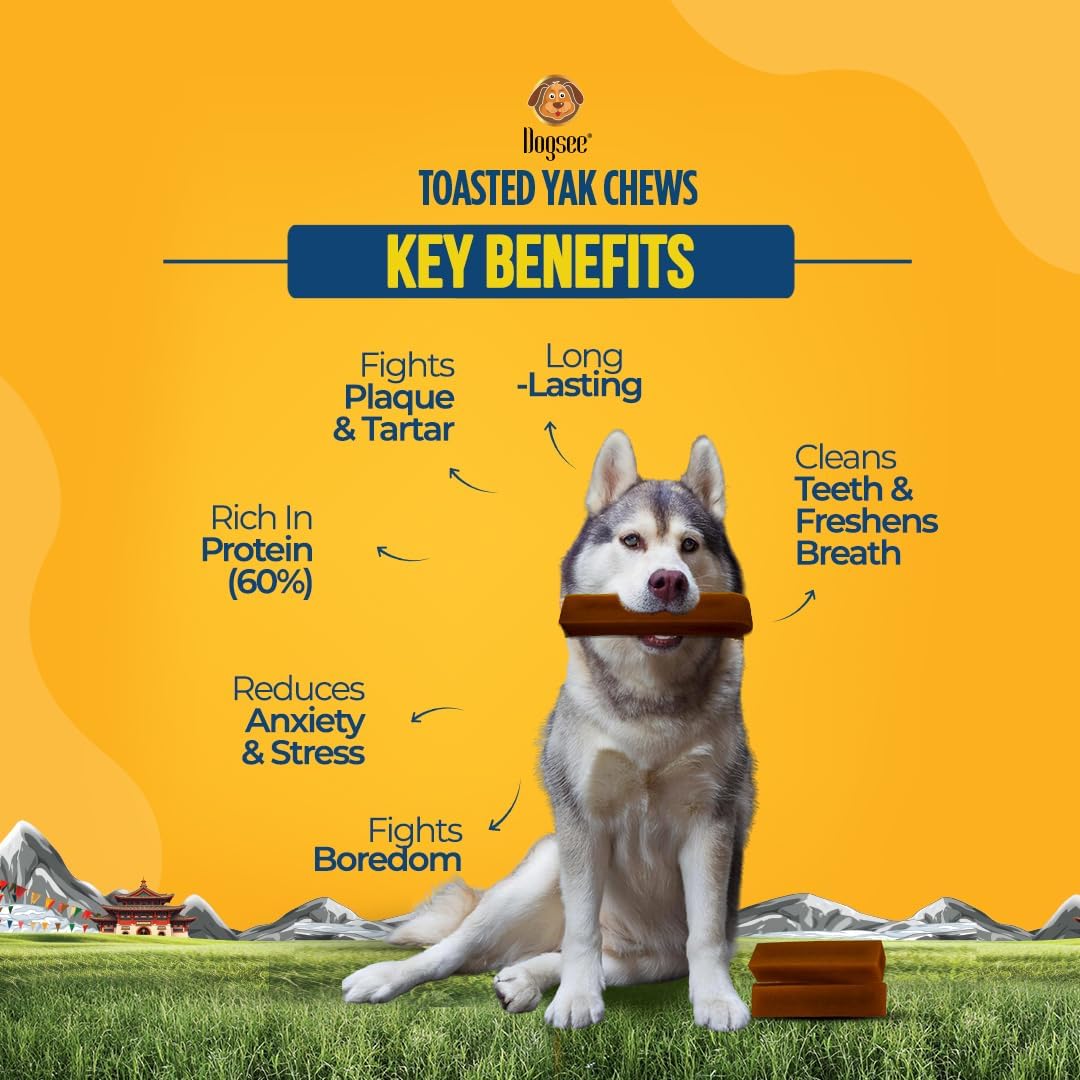 Dogsee Toasted Yak Cheese Himalayan Dog Chews (Large- 4 Chews) | Extra Long-Lasting | Double Cooked for Extra Smoky Cheese Flavor | Rich in Protein & Calcium | Easy to Digest | for Cleaning Teeth