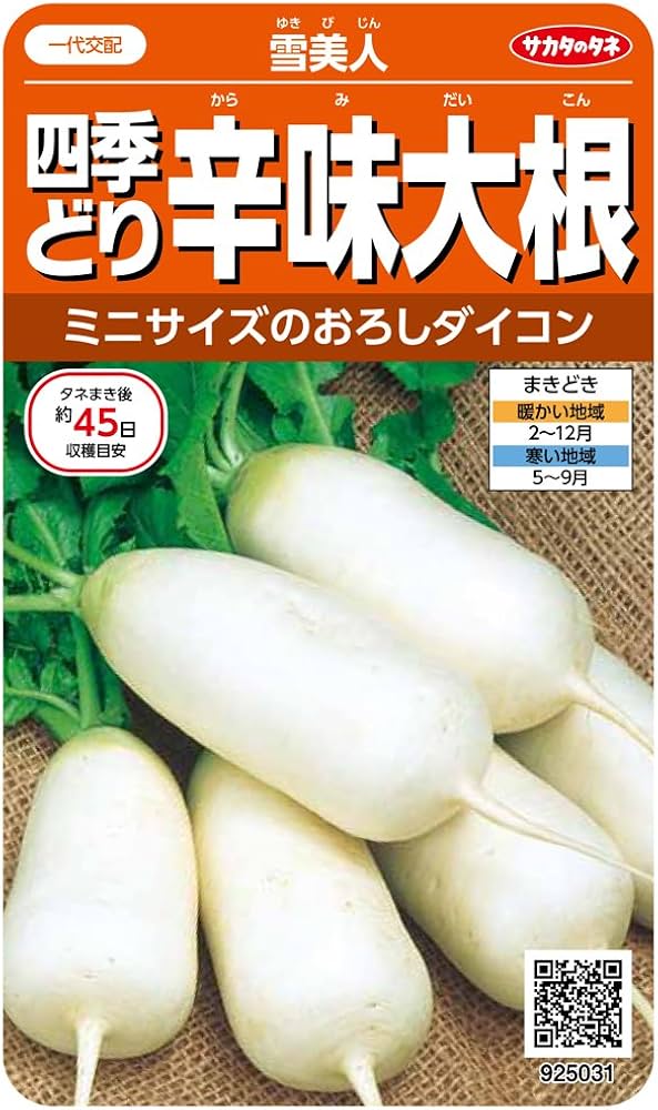 極上 人物 根付 31g 東キ7-0824③ タサコサ 極上 人物 根付 31g 東キ7-0824③ タサコサ