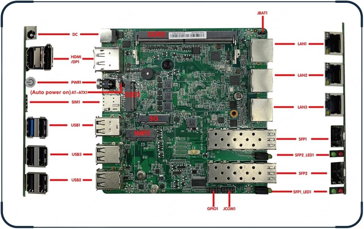真作 國井道成 松上鶴図 絹本肉筆　桐共箱付 加藤美術証明書付き 掛軸 掛け軸 真作 國井道成 松上鶴図 絹本肉筆 桐共箱付 加藤美術