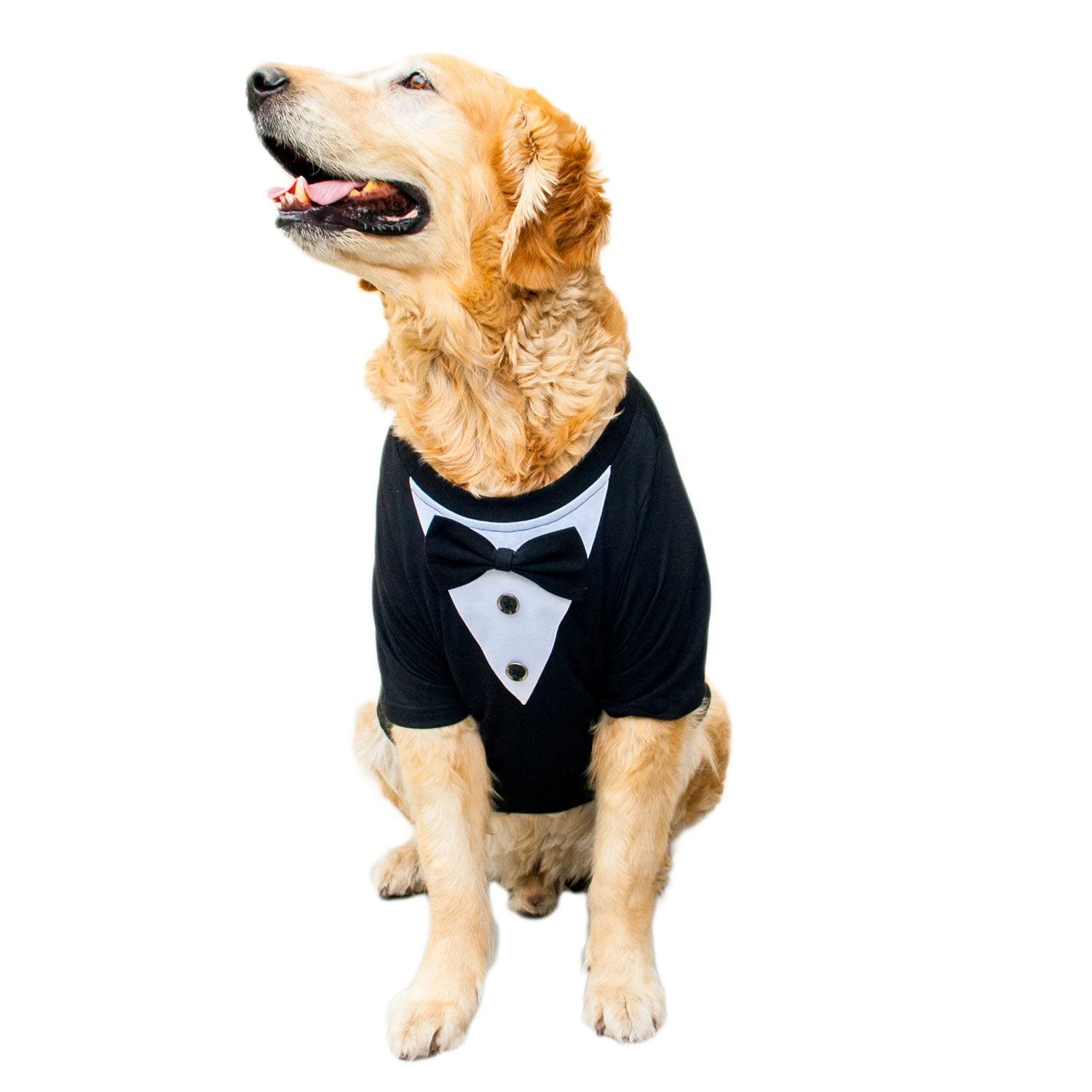 Ruse Dog Suit Easy Breezy Pet Tuxedo/Dog Wedding Dress for All Breeds. (B09ZRLMT8S) Amazon Price History, Amazon Price Tracker