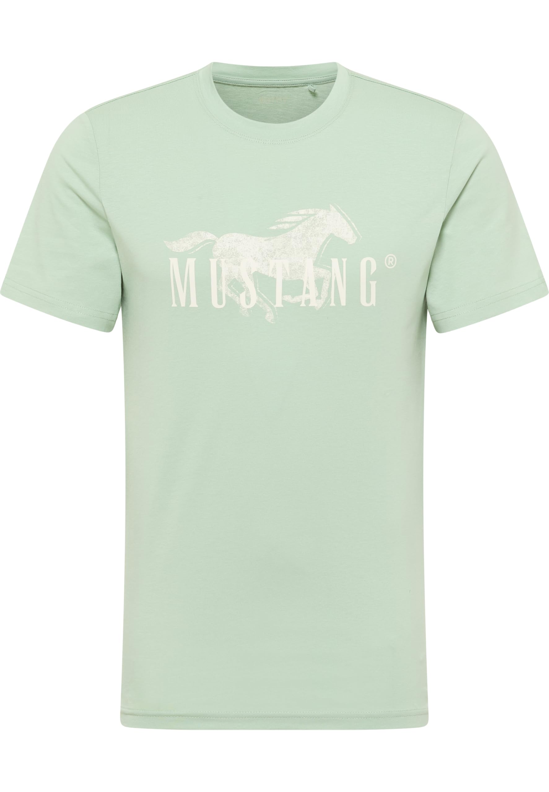 Style Austin, Frosty Green 6180, S