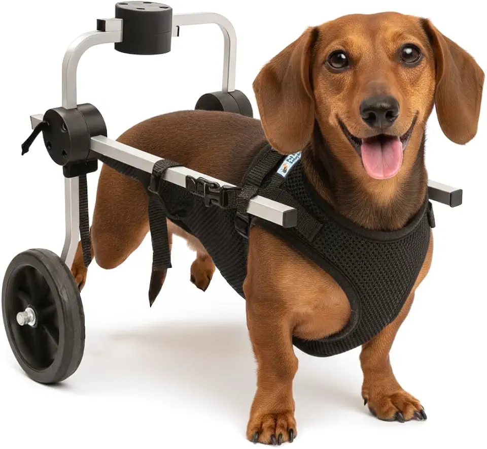 Cadeira 2 Rodas Colete Tamanho P Preto Cachorro Traseira Regulável Deficiente Paraplégico Idoso