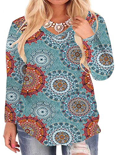 ROSRISS Plus Size V Neck T Shirts Women Loose Fit Long Sleeve Tops C 24W