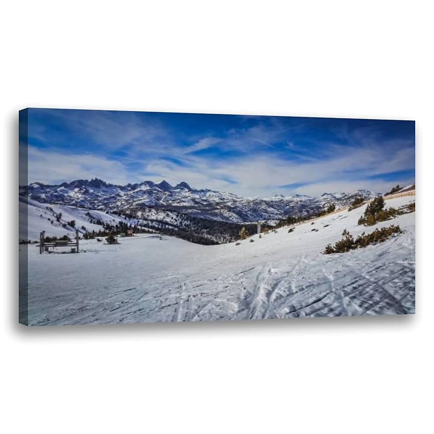 Amazon.com: Large Framed Wall Art Ready to Hang 20