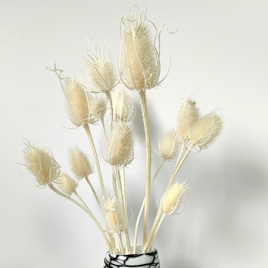 Dongarts White Dried Thistle Flowers Bouquet, 17" Preserved Echinops Globe Flower For Wedding, Boho Party, Home Decor, Table Center, Bleached Thistle Bundle (White)