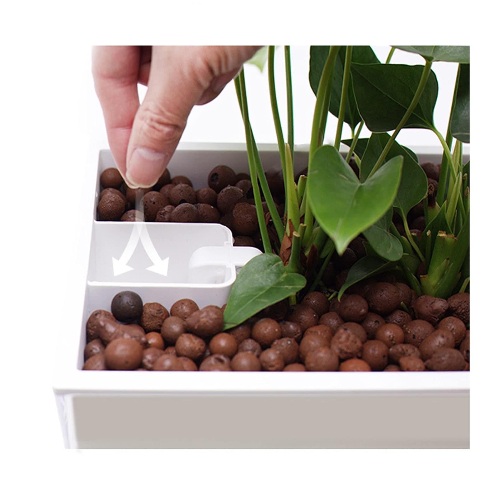 Acquario per Tartarughe Serbatoi di tartaces con terrazze, serbatoi speciali for allevare tartarughe, serbatoi di pesce for alzare le tartarughe, tartarughe vive, carri armati di acqua e terra Tartaru