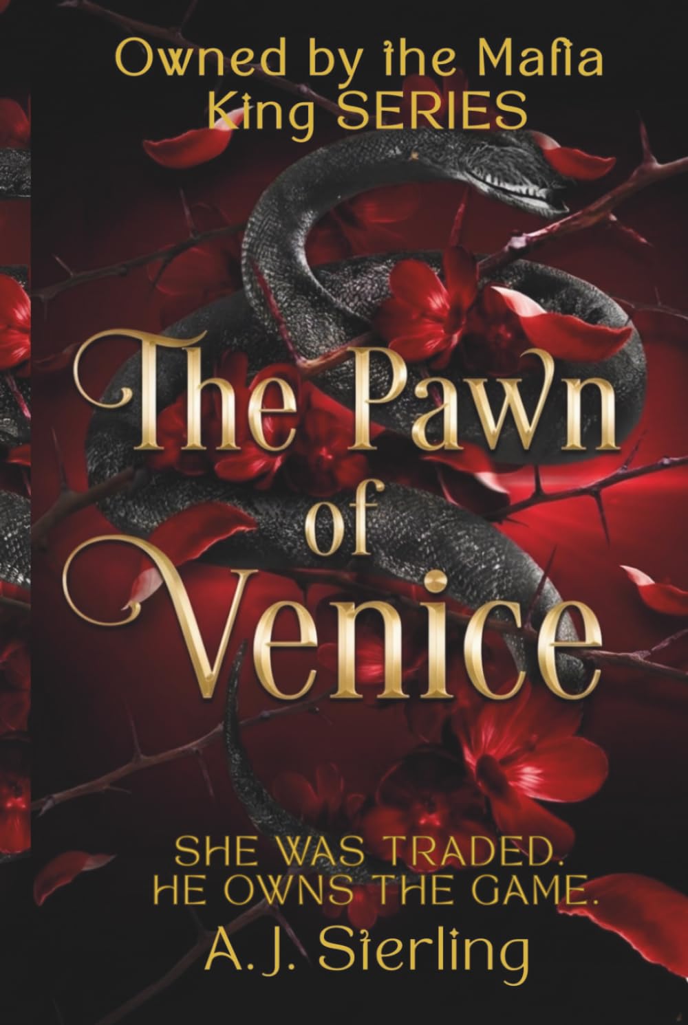 Owned by the Mafia King: The Pawn of Venice (Dark Captive Romance)(BOOK1)