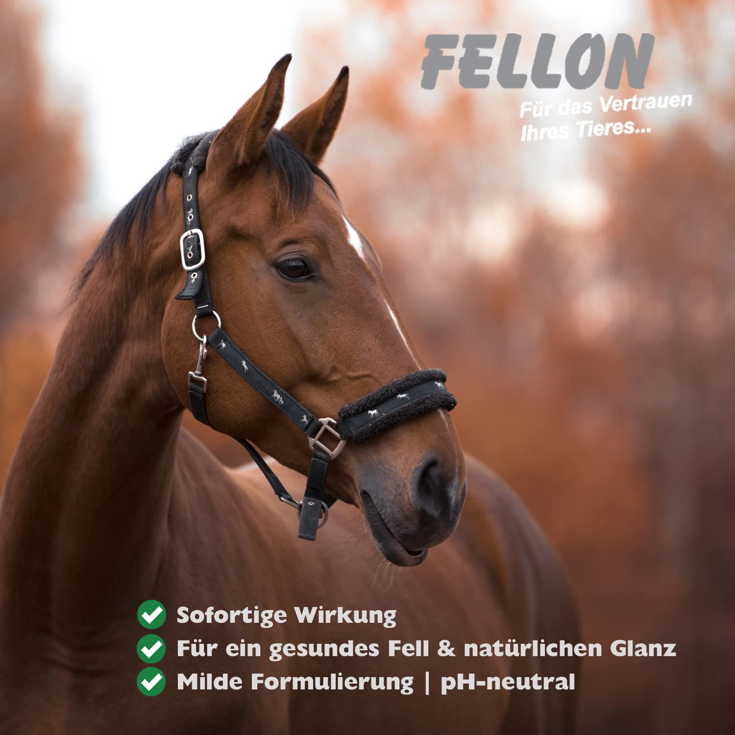 Fellon Szampon dla koni, delikatny szampon do pielęgnacji sierści koni, przeciw suchej skórze, neutralne pH, naturalny, natłuszczający, oczyszczający szampon z łagodnymi substancjami myjącymi,