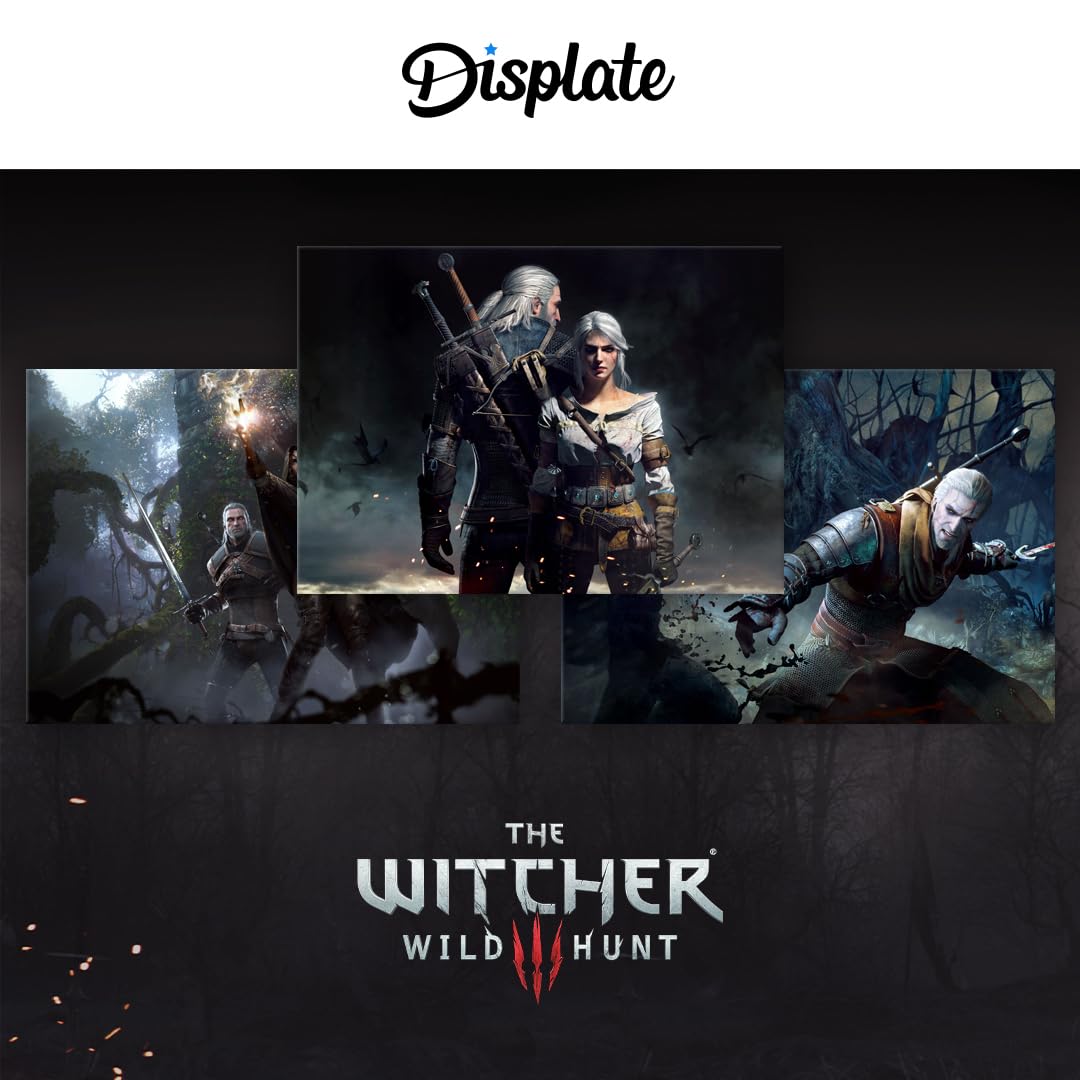 Displate - Poster in metallo - Witcher 3 - The Witcher Ronin - Ronin Alternative Cover - Dimensione L - 67,5 x 48 cm Matt