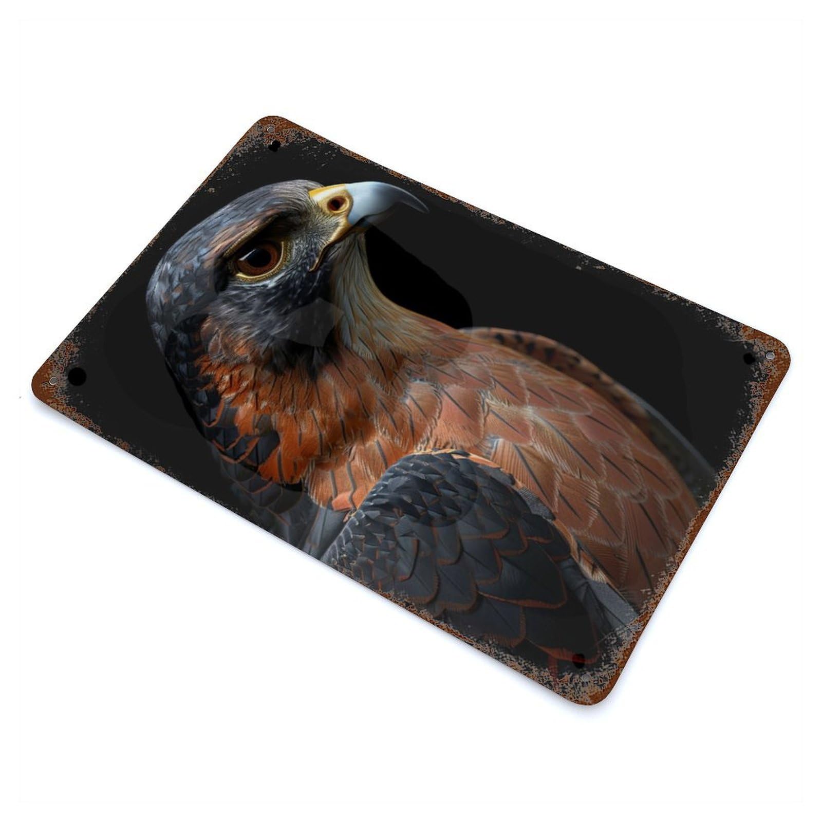 Falcon Retro Metal Sign 11.8"x7.9", Ideal for Cafe, Home Bar And Lounge Decor
