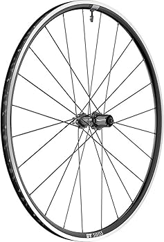 Amazon.com : DT Swiss P 1800 Spline 700c Rear : Sports & Outdoors