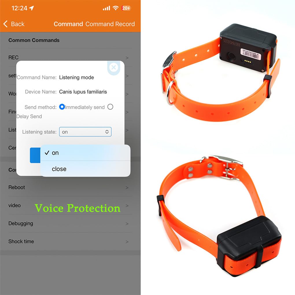 Collare GPS per cani in tempo reale 4G per animali domestici, sicurezza, recinzione geografica, articolo indispensabile per gli amanti dei cani, localizzatore GPS per