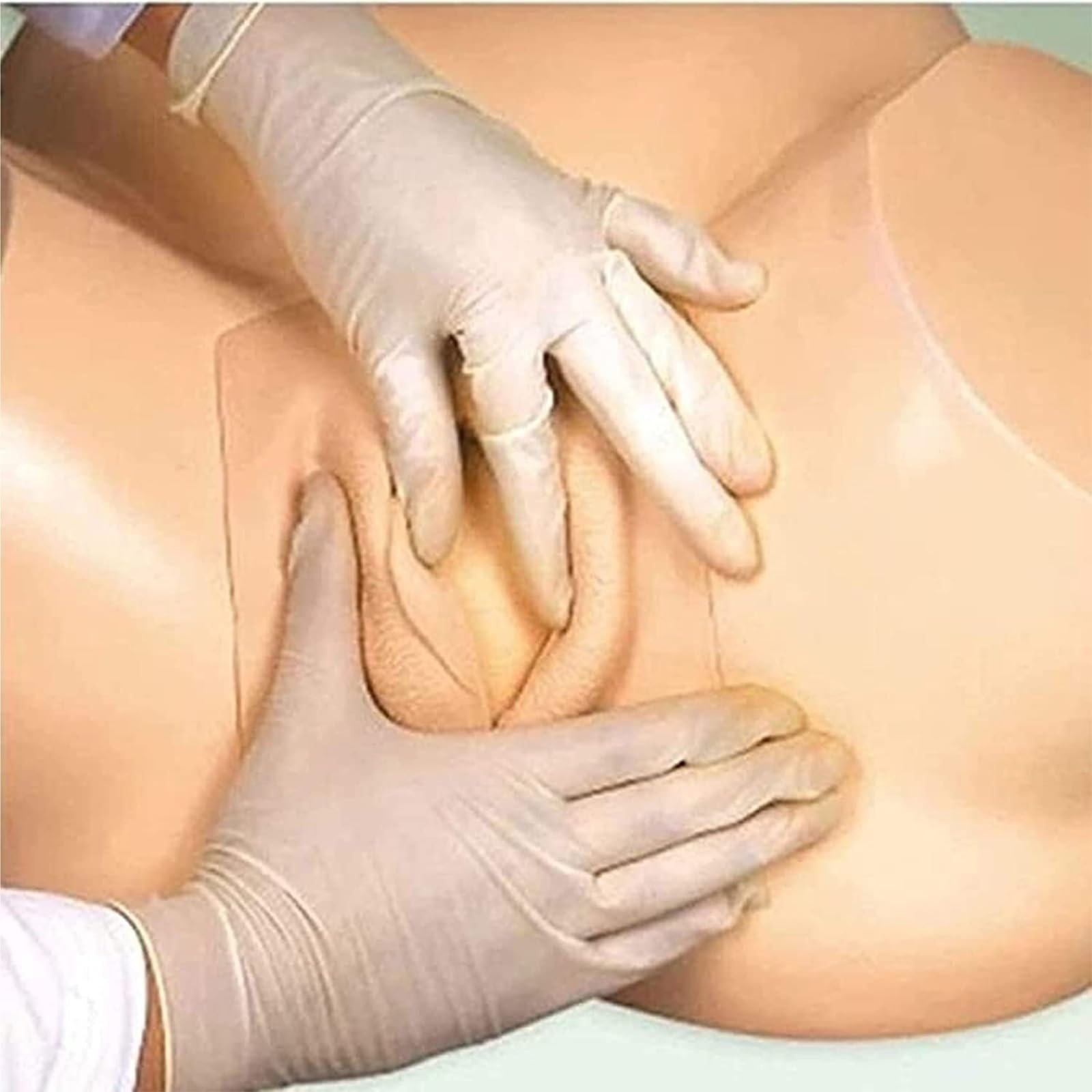Model Anatomii Człowieka Model Demonstracyjny Położnictwa Anatomia Symulacja Porodu Lalka Szkolenie Położnych Kobieta W Ciąży Model Anatomiczny