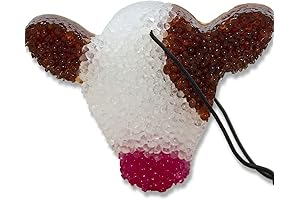 Leather & Lace Long-Lasting Premium Scented Car Freshies