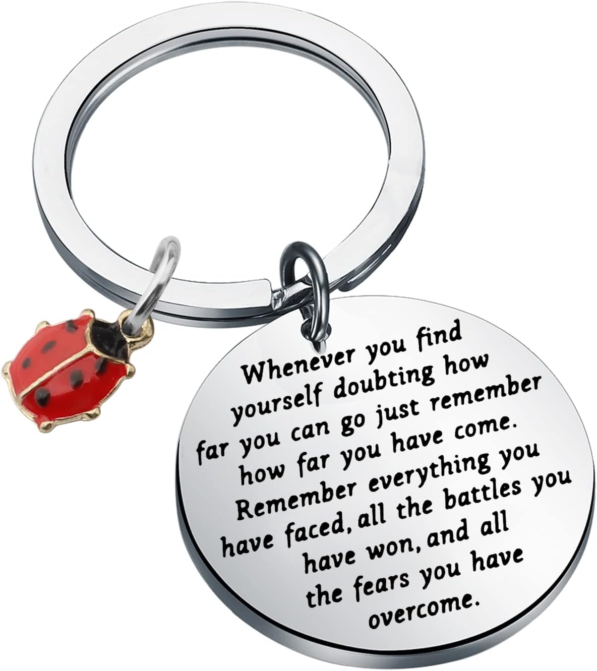 TIIMG Ladybug Inspirational Keychain Ladybug Lover Gifts Good Luck Gifts For Friend Best Friend