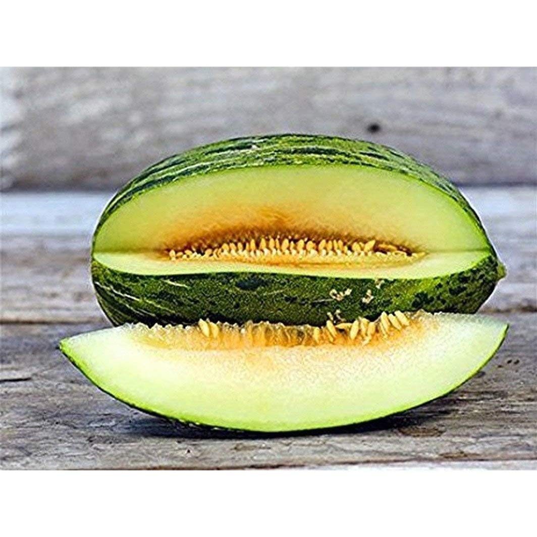 Piel de Sapo Melon Seeds (80 Seed Pack)