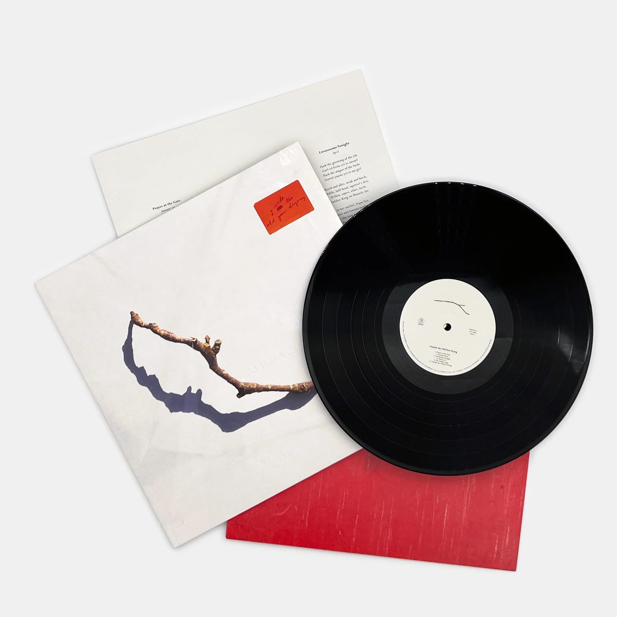 I Inside the Old Year Dying [VINYL]