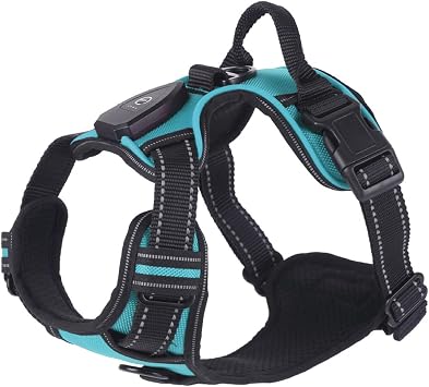 Polyester Fabric Dog Harness Highly Visible 1 Set Luminous Pet Rechargeable Led Lighted Adjustable Glowing Chest Strap for Night Sky Blue M