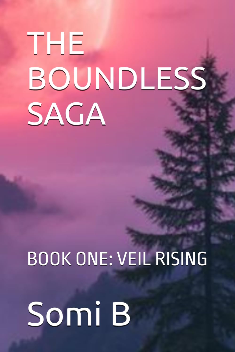 THE BOUNDLESS SAGA: BOOK ONE: VEIL RISING