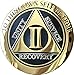 RecoveryChip 2 Year AA Medallion Elegant Black Gold Silver Bi-Plated Alcoholics Anonymous Chip