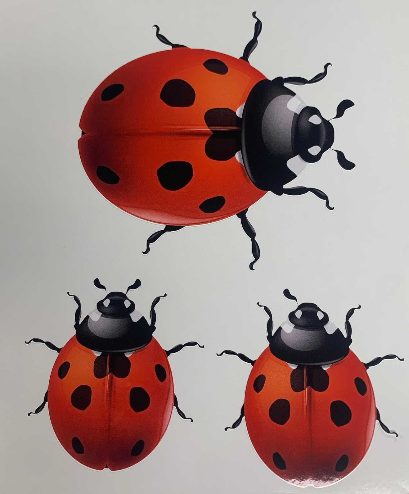 Ladybird 3 x Car, Van, Wheelie Bin Camper Wall Nursery Stickers Decals LS2003 Adhesive Vinyl - Fits to Any Smooth Non Porous Surface
