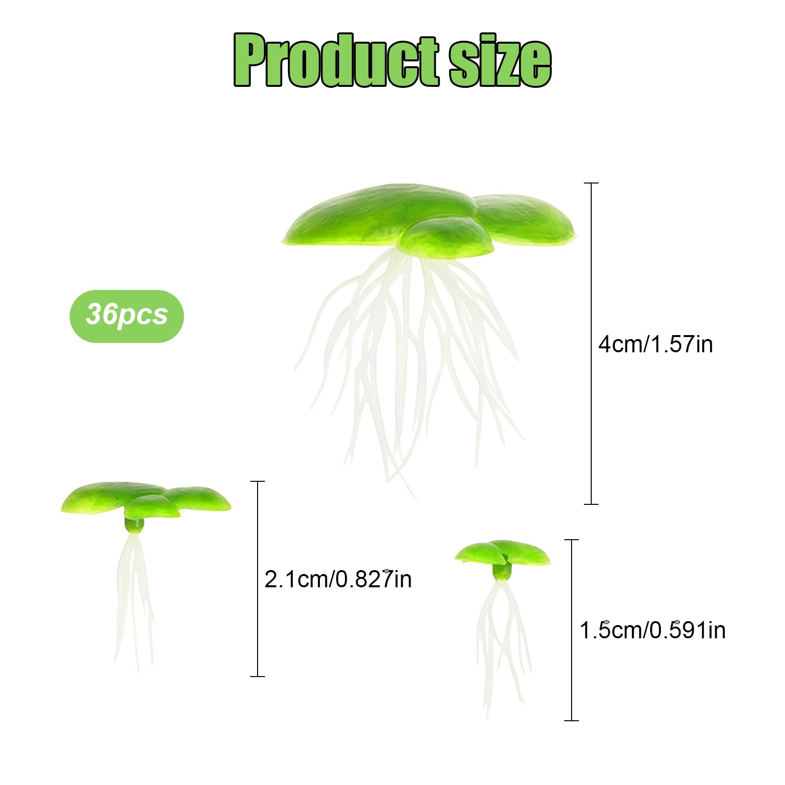 Lot de 2 paquets de 36 lentilles d'eau au total - Mini étang - Plantes flottantes - Décoration d'aquarium - Mini étang